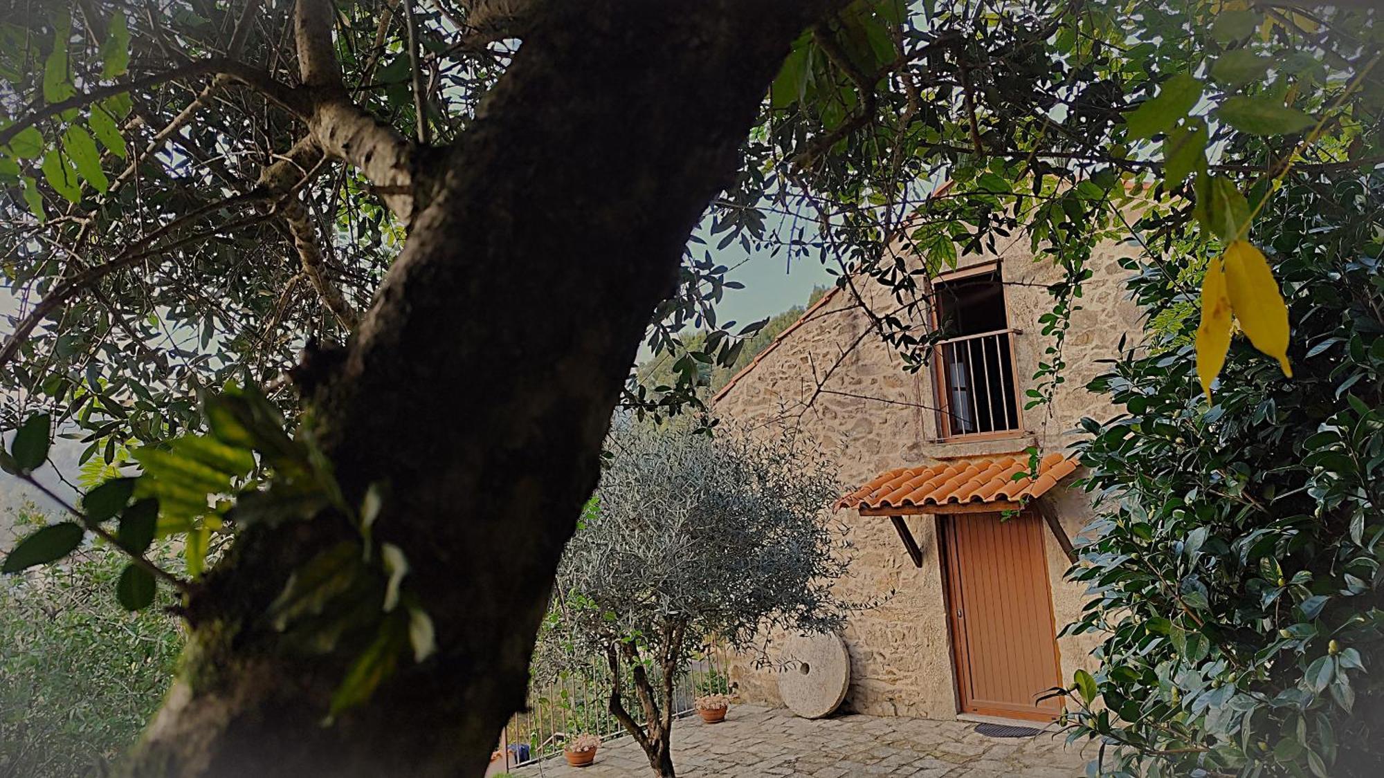 הוילה סבר דו ווגה Quinta Da Costeira מראה חיצוני תמונה