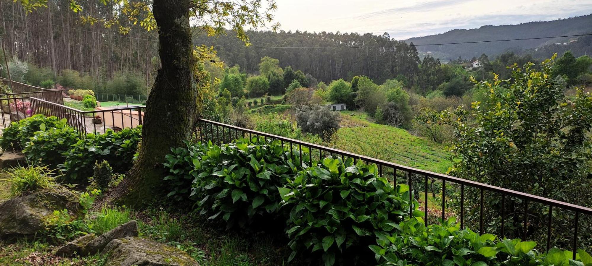 הוילה סבר דו ווגה Quinta Da Costeira מראה חיצוני תמונה